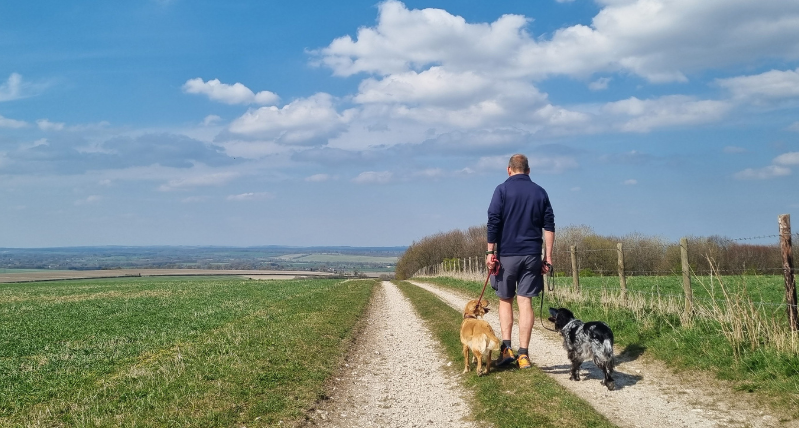 Martinsell Hill Vale of Pewsey